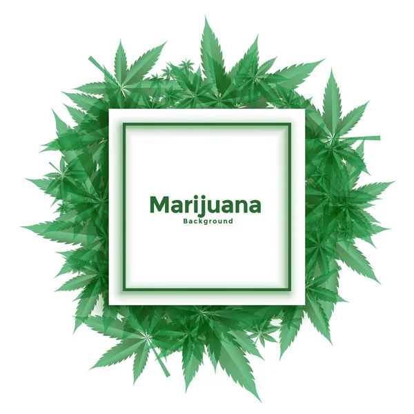 Cannabis Marijuana Folhas Quadro Fundo —  Vetores de Stock