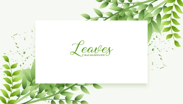 Abstrakte Grüne Blätter Hintergrunddesign — Stockvektor
