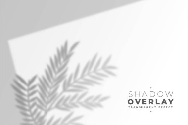 gerçekçi yapraklar gölge etkisi arka planı