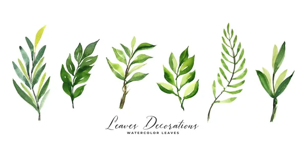 Set Green Watercolor Leaves Decoration — Stockvektor