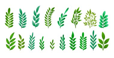 Noel dekorasyonu için gerçekçi yapraklar. 