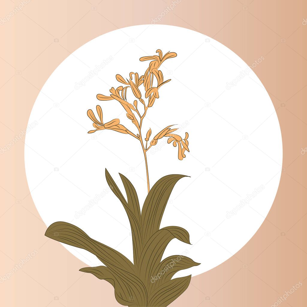 Exotic hibiscus plant with flower design vector
