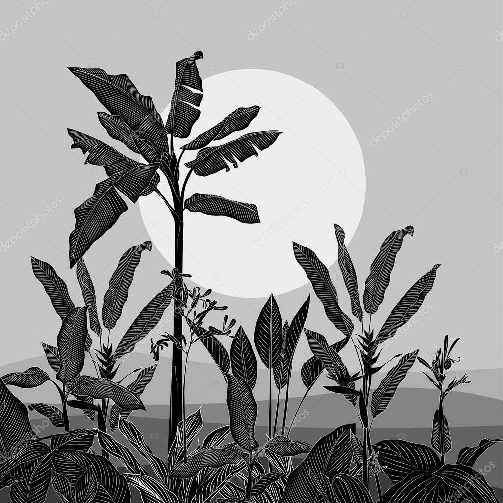 Night in the jungle landscape illustration