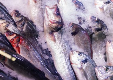 Soğutulmuş balık markette tezgahın üzerinde. Masanın üstünde buzlu balıkların yakın çekimi.