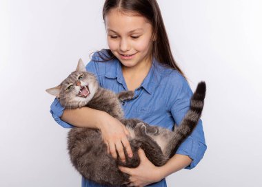 Evcil gri bir kedi tutan sevimli bir kız. Sıradan elbiseli kız beyaz arka planda izole edilmiş komik kediciğe sarılıyor..