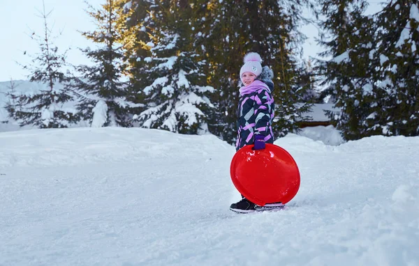 Bambina Godendo Tempo Slittino Invernale Bambino Che Gioca Diverte Cavalcando — Foto Stock