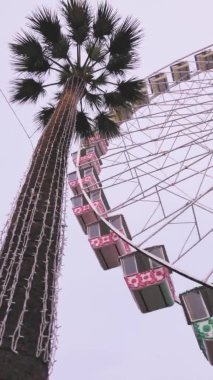 Palmiye ağacının yanında bir dönme dolap dönüyor Nice 'de büyük bir dönme dolap Cote d' Azur 'da bir palmiye ağacının yanında dönüyor, filtre gül.
