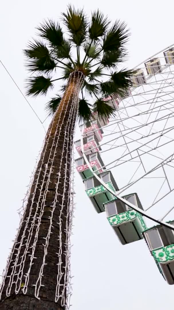Uma Roda Gigante Gira Perto Uma Palmeira Uma Enorme Roda — Vídeo de Stock