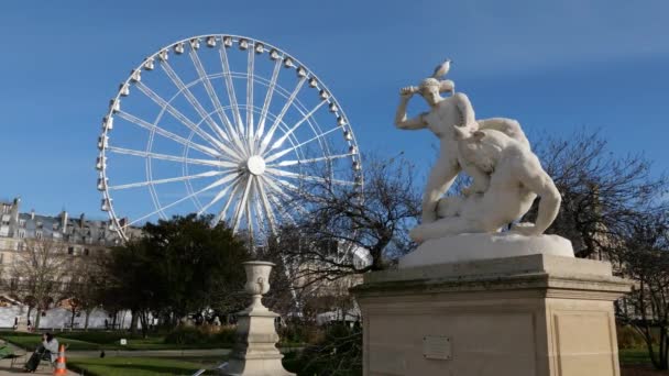 Maillol Rodin Giacometti Szobra Párizs Legrégebbi Közkertjében Tuilerie Kert Paris — Stock videók