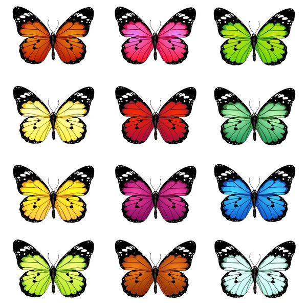 Set von bunten Vektor-Schmetterlingen — Stockvektor