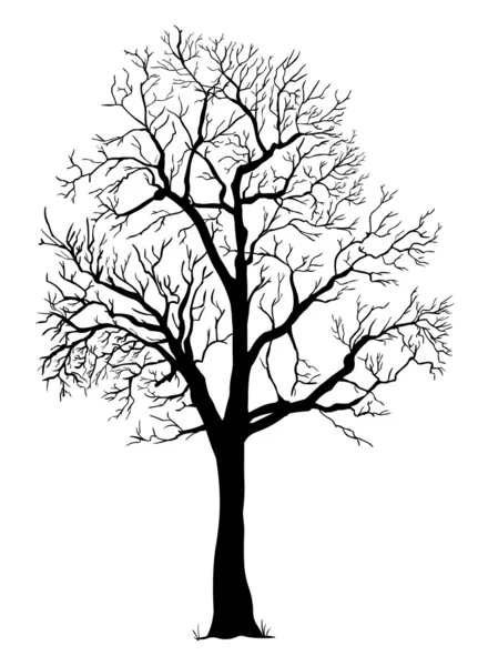 Silhouette nera vettoriale di un albero nudo — Vettoriale Stock