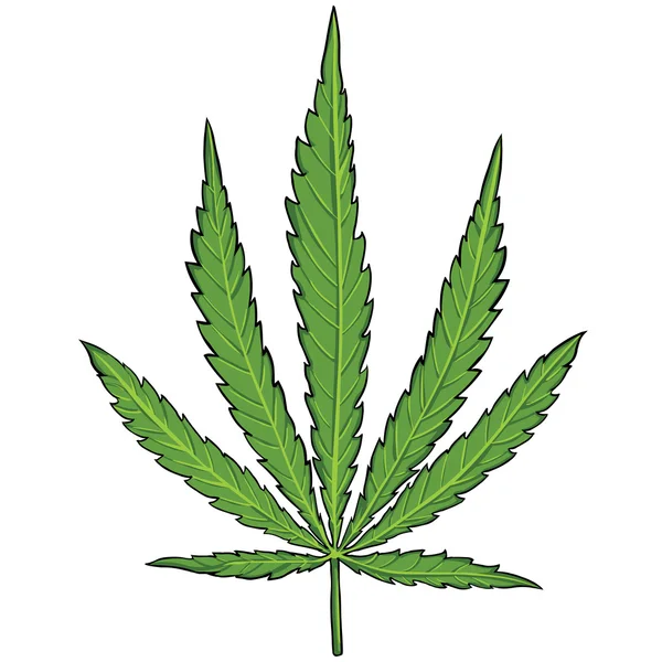 Vektor gröna cannabis leaf — Stock vektor