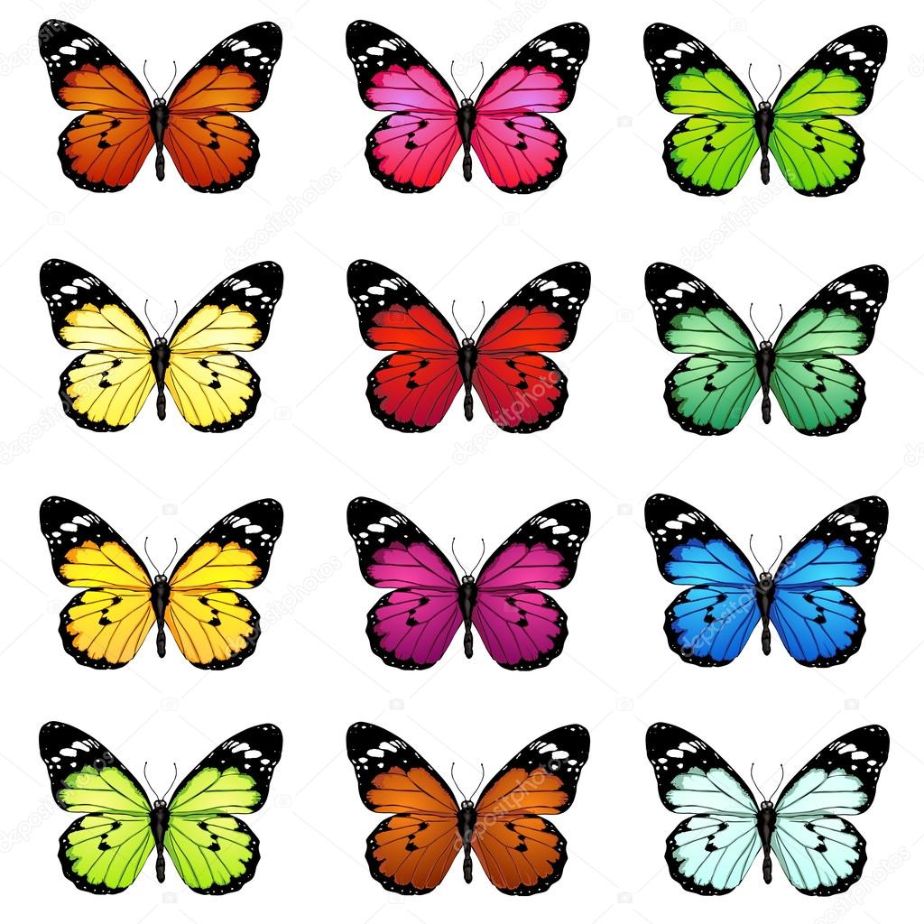 Set of colorful vector butterflies