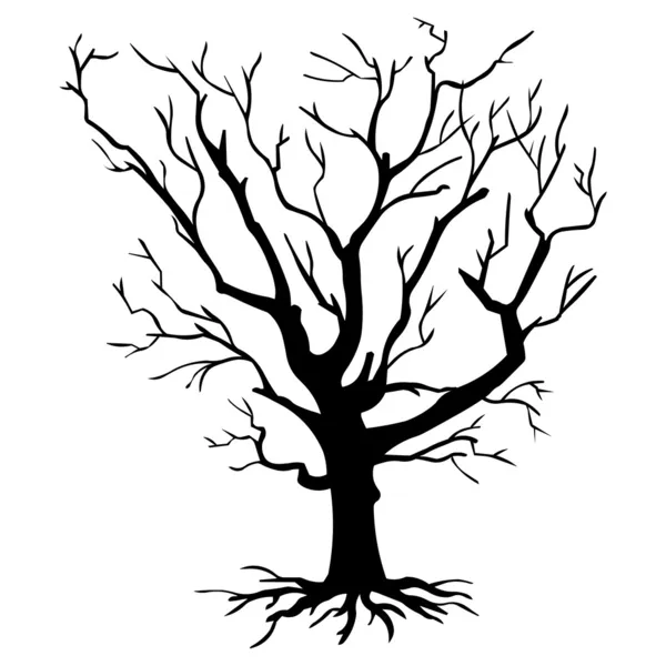 黑色矢量轮廓的光秃秃的树 — 图库矢量图片