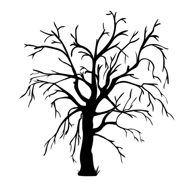 Silhouette nera vettoriale di un albero nudo — Vettoriale Stock