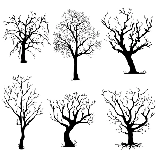 Ensemble vectoriel de silhouettes d'arbres — Image vectorielle