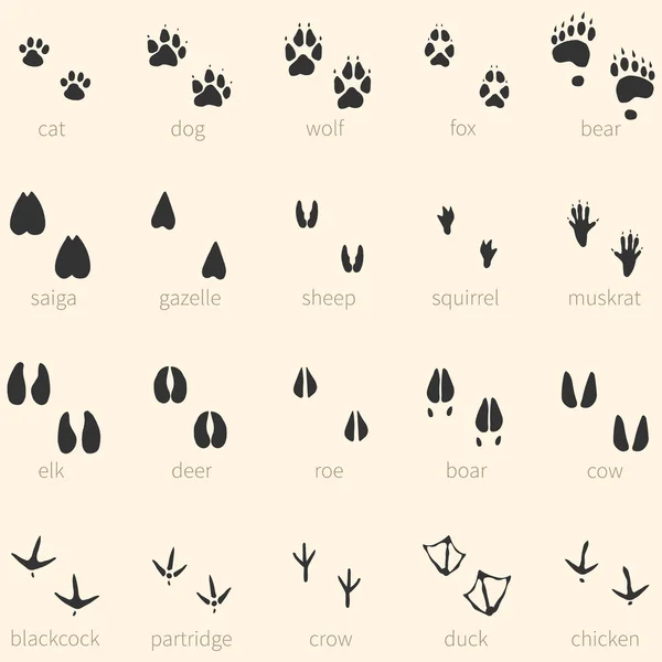 Векторный набор из 20 символов следов животных — стоковый вектор