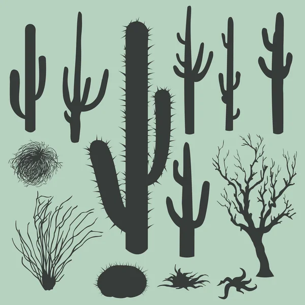 Vector set of Silhouettes of cacti and other desert plants — Stock Illustration Vector set of Silhouettes of cacti and other desert plants Vector Graphics