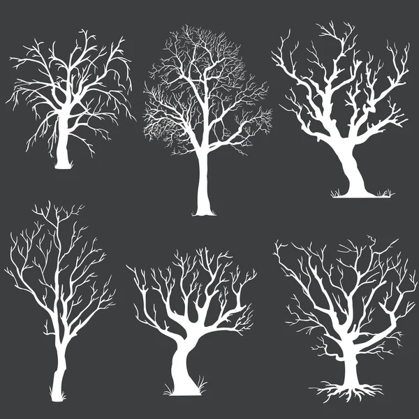 Vector set of white bare trees silhouettes — Stock Vector