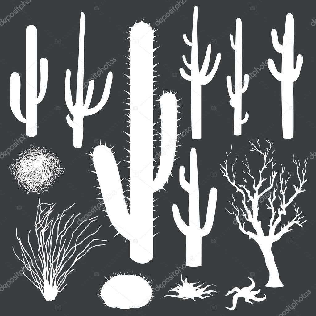 Vector set of white silhouettes of cacti and other desert plants
