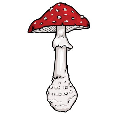 vektör karikatür Sinek mantarı