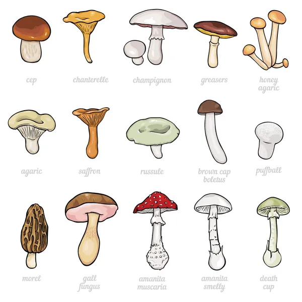 Векторный набор иллюстраций к мультфильмам - грибы — стоковый вектор
