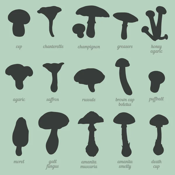 Vector set of mushrooms silhouettes — Stock Illustration Vector set of mushrooms silhouettes Stock Vector