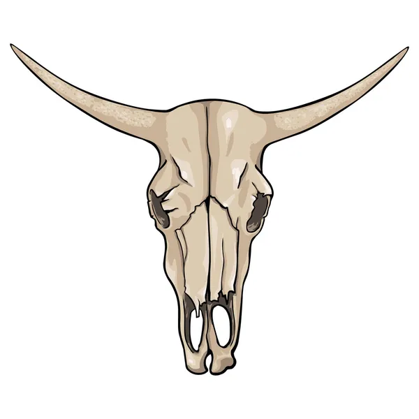Vector isolated cartoon - old cow skull — Stock Vector