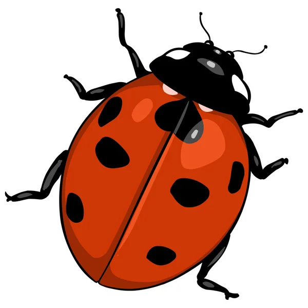 Coccinella del fumetto vettoriale — Vettoriale Stock