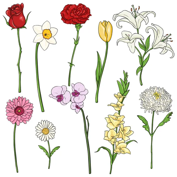 Vector Set of color Cartoon Flowers — Stock Vector