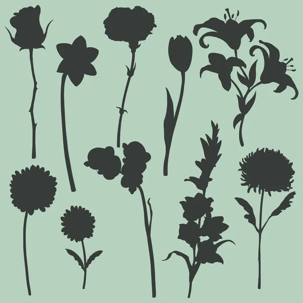 Conjunto vectorial de flores siluetas — Archivo Imágenes Vectoriales