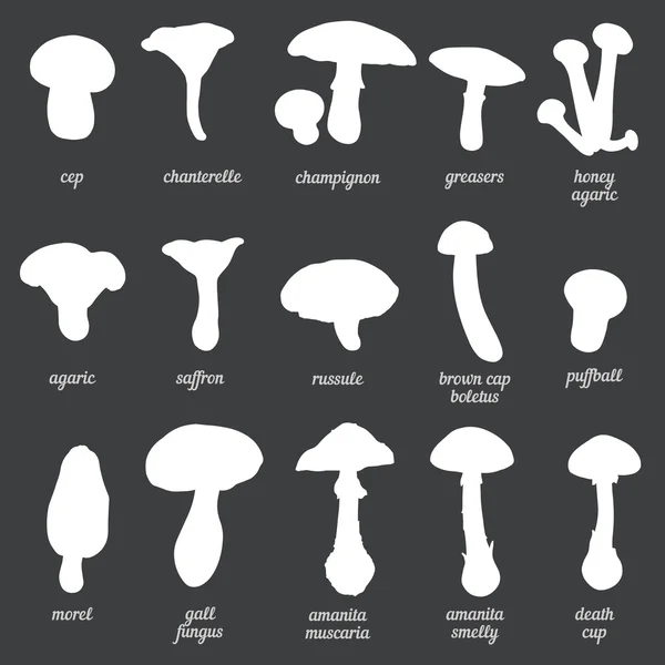 Vector Set of White Mushrooms Silhouettes — Stock Illustration Vector Set of White Mushrooms Silhouettes Stock Vector