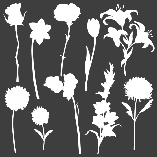 Vector set of white flowers silhouettes — Stock Vector