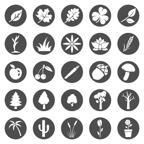 Conjunto vetorial de ícones de plantas —  Vetores de Stock