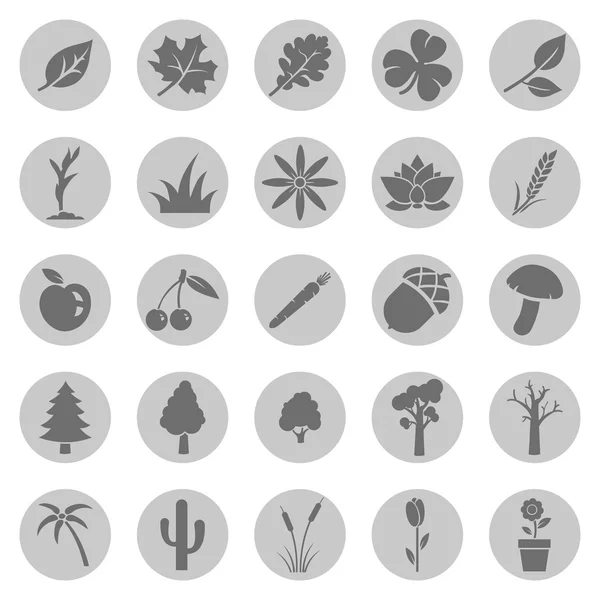 Conjunto de ícones de plantas —  Vetores de Stock