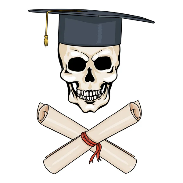 Academic Skull and Crossed Scrolls — Stock Vector