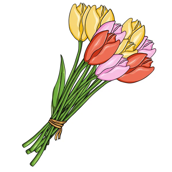ベクトル漫画色のチューリップ花束 — ストックベクタ