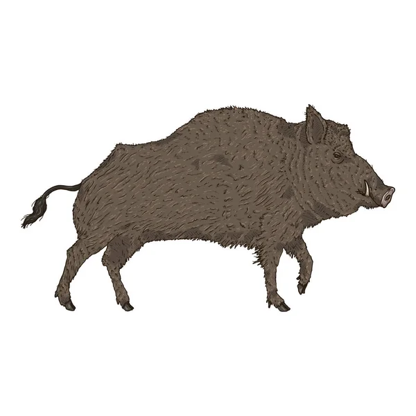 Wild Boar Cartoon Vector Illustration Auf Weißem Hintergrund — Stockvektor