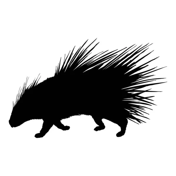 Porcupine Silhouette Negro Vector Ilustración Sobre Fondo Blanco — Archivo Imágenes Vectoriales