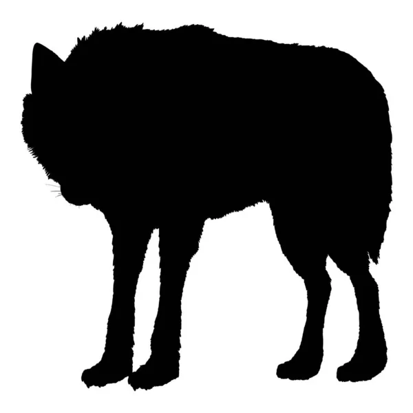 Wolf Staande Kijken Vector Silhouet Illustratie — Stockvector