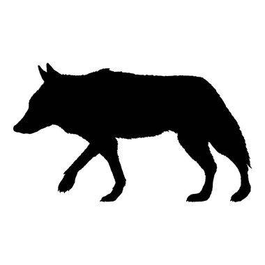 Wolf Walking Side View Vector Siyah Siluet İllüstrasyonu