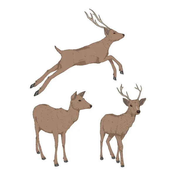 漫画の鹿のイラストのベクトルセット — ストックベクタ