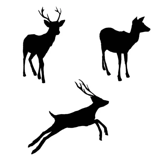 Vector Set Black Silhouette Deer Illusrations — Stock Vector