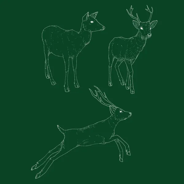Vector Set Chalk Sketch Deer Illusrations — Stock Vector