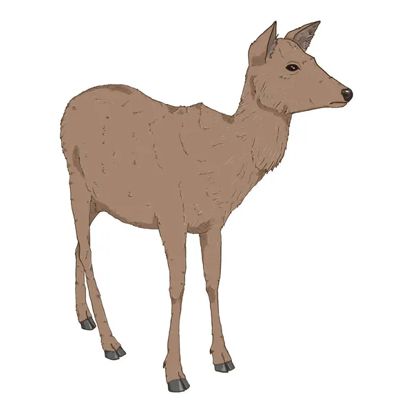 Vector Cartoon Deer Zijaanzicht Volledig Lichaam Geïsoleerde Illustratie — Stockvector