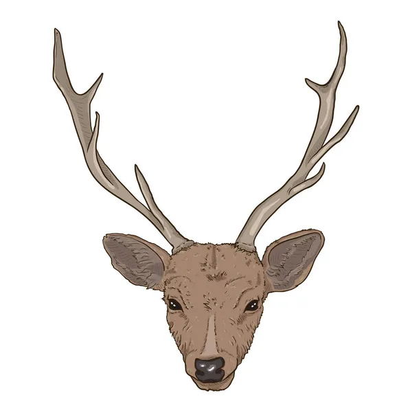 Vector Cartoon Head Deer Front View — Stock Vector