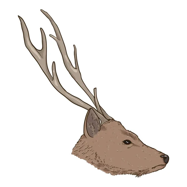 Vector Cartoon Head Deer Side View — Stock Vector