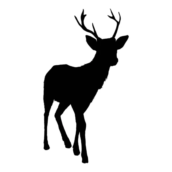鹿立ち孤立した白の背景のベクトルブラックシルエット — ストックベクタ