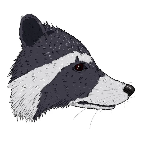 Vector Cartoon Raccoon Head Racoon Face Comics Estilo Ilustración — Vector de stock