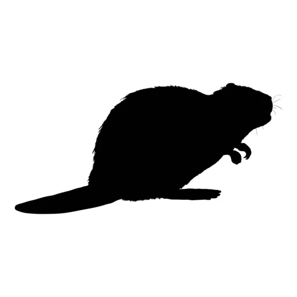 Beaver Black Silhoeutte Vector Illustration White Background — ストックベクタ